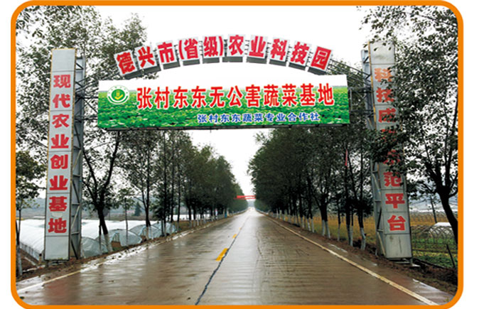 蔬菜基地